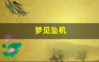 梦见坠机(梦见飞机爆炸坠毁是什么意思)
