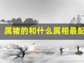 属猪的和什么属相最配、相克(属猪的和什么属相最配相克相冲的人)