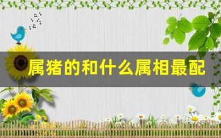 属猪的和什么属相最配、相克(属猪的和什么属相最配相克相冲的人)
