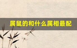 属鼠的和什么属相最配、相克(相克相冲呢女孩)