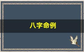 八字命例(八字命例讲解)