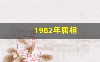1982年属相(1982年属相是)