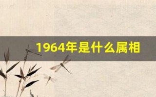 1964年是什么属相