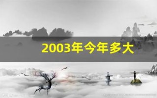 2003年今年多大(2003年今年多大年龄)