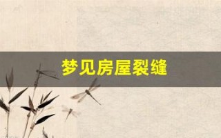 梦见房屋裂缝(梦见房屋裂缝什么意思)