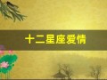 十二星座爱情(十二星座爱情匹配度)