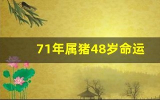 71年属猪48岁命运(71年属猪的是什么命)