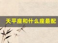 天平座和什么座最配(天平座和谁最配)