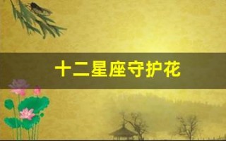 十二星座守护花(十二星座守护花图片)