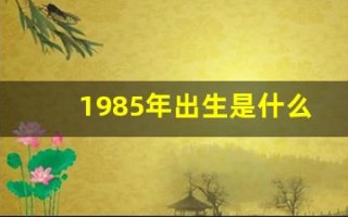 1985年出生是什么命(1985年出生是什么命五行属什么)