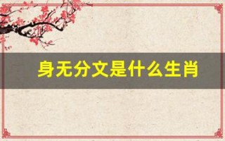 身无分文是什么生肖(身无分文是什么生肖动物)
