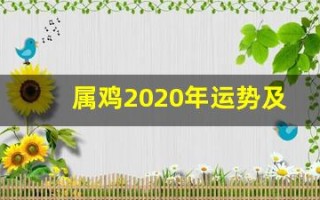 属鸡2020年运势及运程(属鸡2025年运势及运程1981年出生)