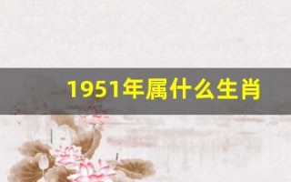 1951年属什么生肖(1951年属兔的是什么命)