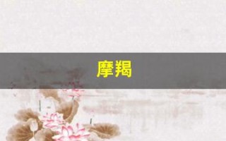 摩羯(摩羯是土象还是火象)