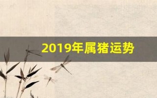 2019年属猪运势(2019年属猪男孩取什么名字好)