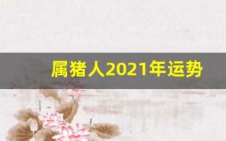 属猪人2021年运势运程每月运程(属猪人2021年运势运程每月运程开运网)