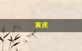 寅虎(寅虎卯兔)