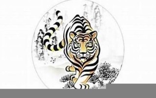 虎年运程2012(虎年运程2022生肖年运程)