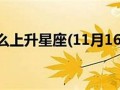 11月16日是什么星座(2006年11月16日是什么星座)