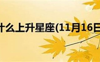 11月16日是什么星座(2006年11月16日是什么星座)