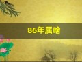 86年属啥(86年属啥的今年多大)