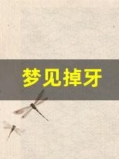 梦见掉牙(梦见掉牙齿是什么意思 周公解梦)