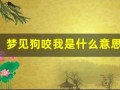 梦见狗咬我是什么意思(梦见狗咬手是要发财)