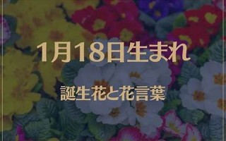 1月18日(1月18日是黄道吉日吗)