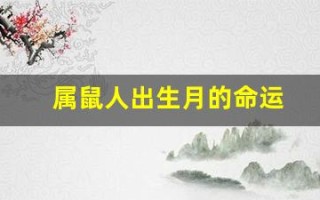 属鼠人出生月的命运(哪月出生最好)