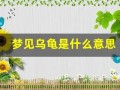 梦见乌龟是什么意思(怀孕梦见乌龟是什么意思)