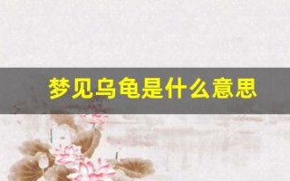 梦见乌龟是什么意思(怀孕梦见乌龟是什么意思)
