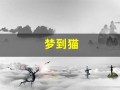 梦到猫(梦到猫攻击自己是什么意思)