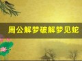 周公解梦破解梦见蛇(周公解梦梦见蛇缠着自己)
