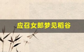应召女郎梦见稻谷(女人梦到稻谷)