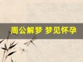 周公解梦 梦见怀孕(梦见怀孕是什么意思)
