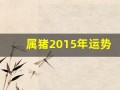 属猪2015年运势(属猪2015年运势及运程)