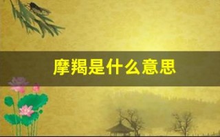 摩羯是什么意思(婚神摩羯是什么意思)