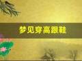 梦见穿高跟鞋(梦见穿高跟鞋跑得很快)