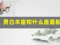 男白羊座和什么座最配(男白羊座和什么座最配对)