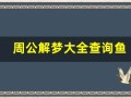 周公解梦大全查询鱼(周公解梦大全查询鱼的梦)