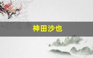 神田沙也(神田沙也加是弹丸的粉丝吗)