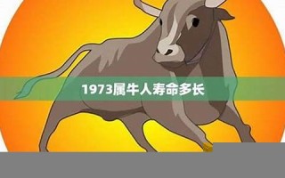 1973年属牛的人2013年运程(1973年属牛的人2020年运势及运程大全解析)