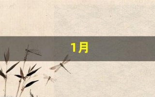 1月(1月20日是什么星座)