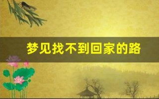 梦见找不到回家的路(梦见找不到回家的路)