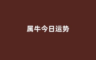 属牛今日运势(属牛人今日运势)