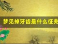 梦见掉牙齿是什么征兆(年轻人梦见掉牙齿是什么征兆)