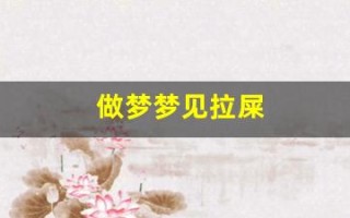 做梦梦见拉屎(做梦梦见拉屎擦屁股擦不干净)