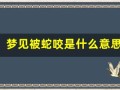 梦见被蛇咬是什么意思 周公解梦(梦见被蛇咬是怎么回事啊)