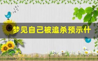 梦见自己被追杀预示什么(梦见自已被追杀是什么意思)