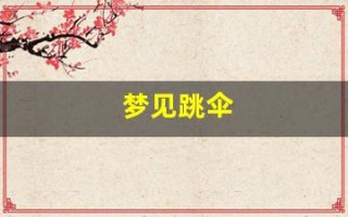 梦见跳伞(梦见跳伞是仙家在暗示什么)